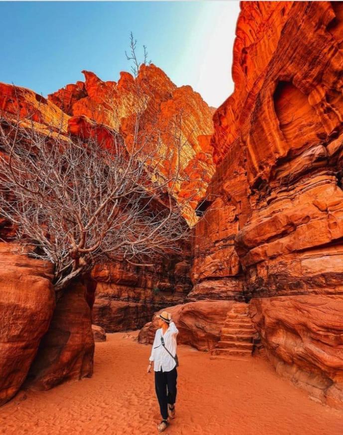 Saleem With Jeep Tour Wadi Rum Exterior foto