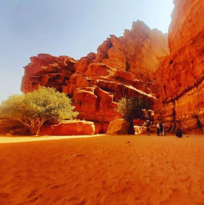Saleem With Jeep Tour Wadi Rum Exterior foto